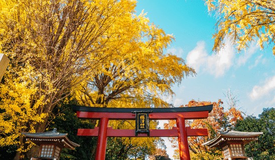 Qual a melhor época para viajar para o Japão